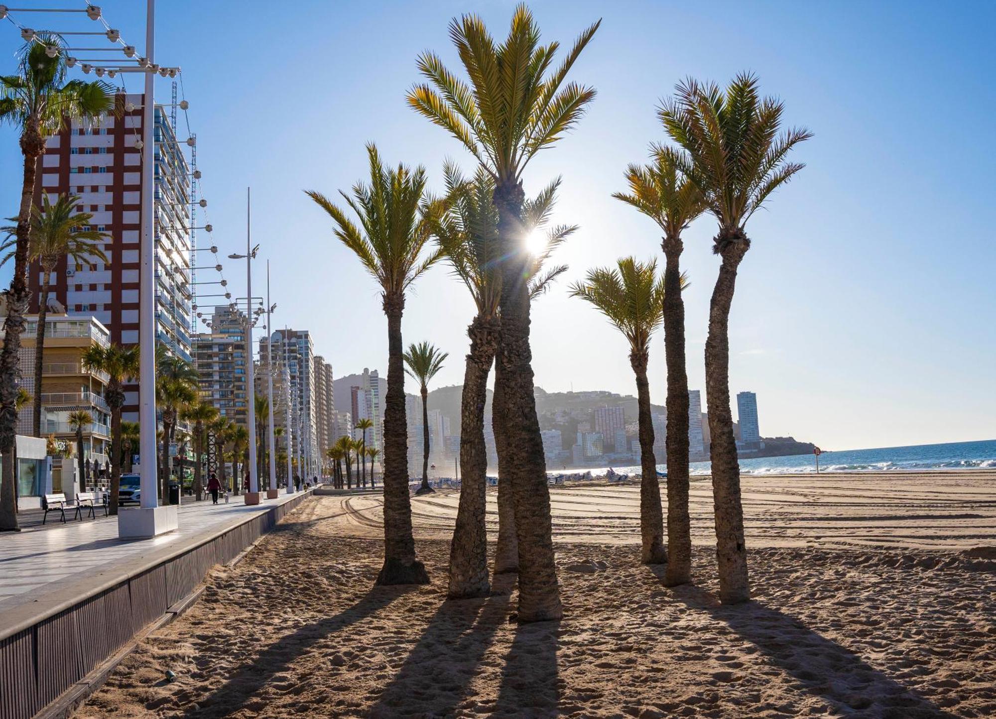 Las Palmeras 15D Apartment Benidorm Exterior photo